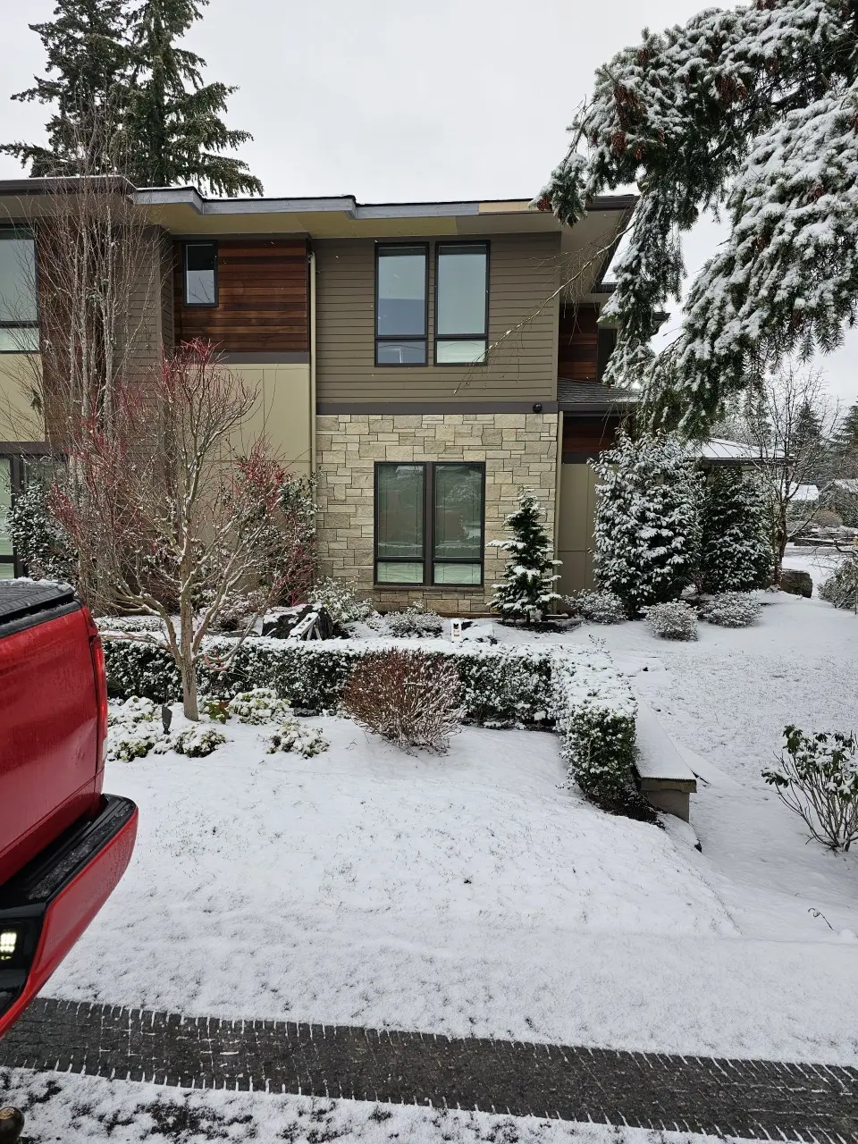 Tree-Strike Roof Restoration