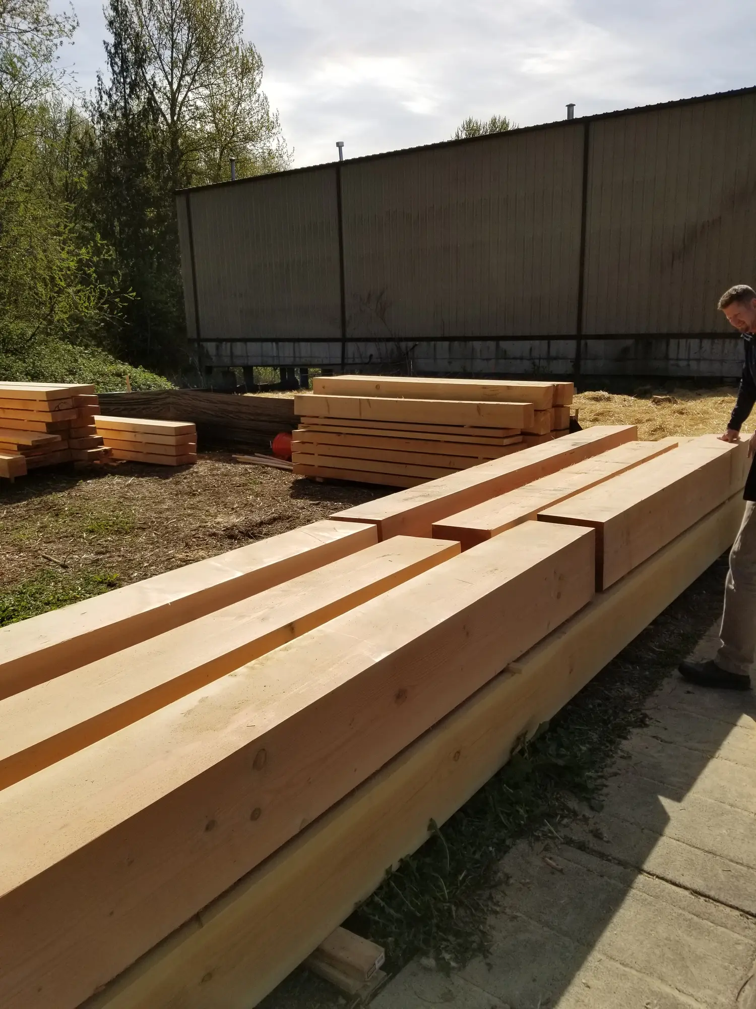 Brewery Timber Structure before